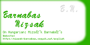 barnabas mizsak business card